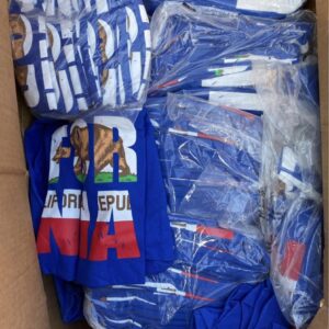 California T‑shirts Pallet – Bulk Lot of Premium California T‑shirts for Resale