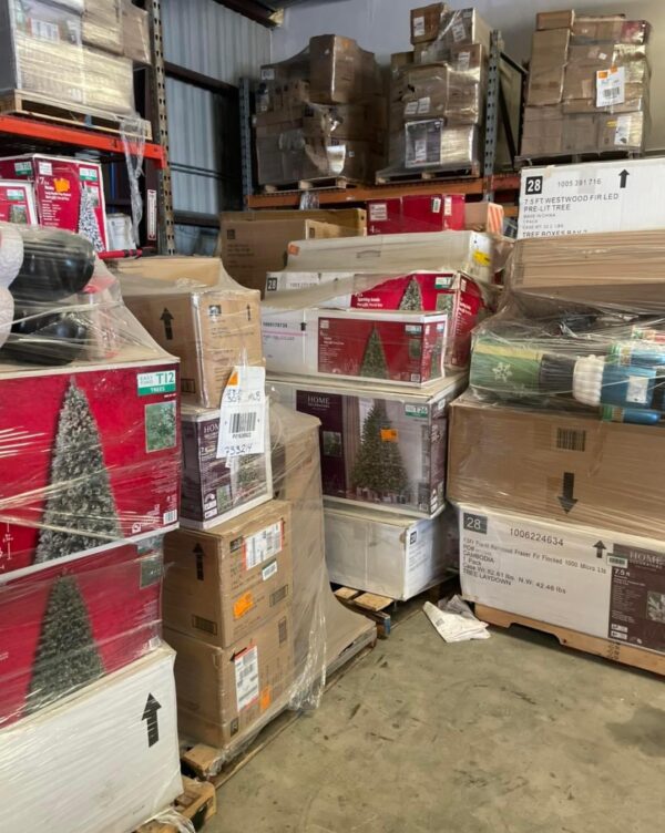 img_8995.jpeg Christmas Pine Trees Load – Bulk Wholesale Pine Trees for Festive Holiday Decorations